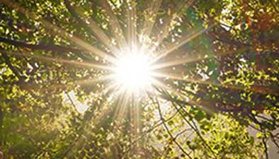 Contact Envirolink