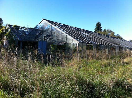 Glasshouses may leave contaminated land